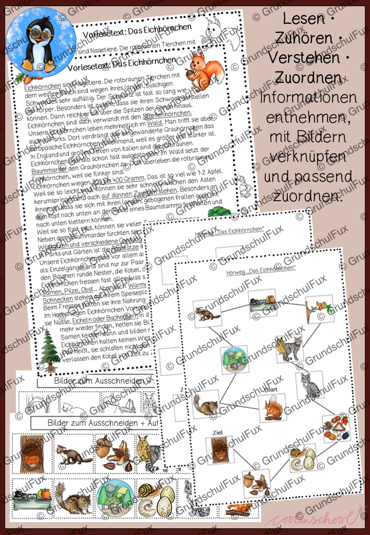 Eichhörnchen Hörweg AB Kl. 2-4 | Vorschauseite 1 von 1 | Arbeitsblatt, Lesematerial | Deutsch Klasse 2/3/4