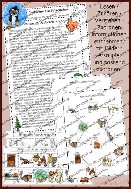 Eichhörnchen Hörweg AB Kl. 2-4 | Vorschauseite 1 von 1 | Arbeitsblatt, Lesematerial | Deutsch Klasse 2/3/4