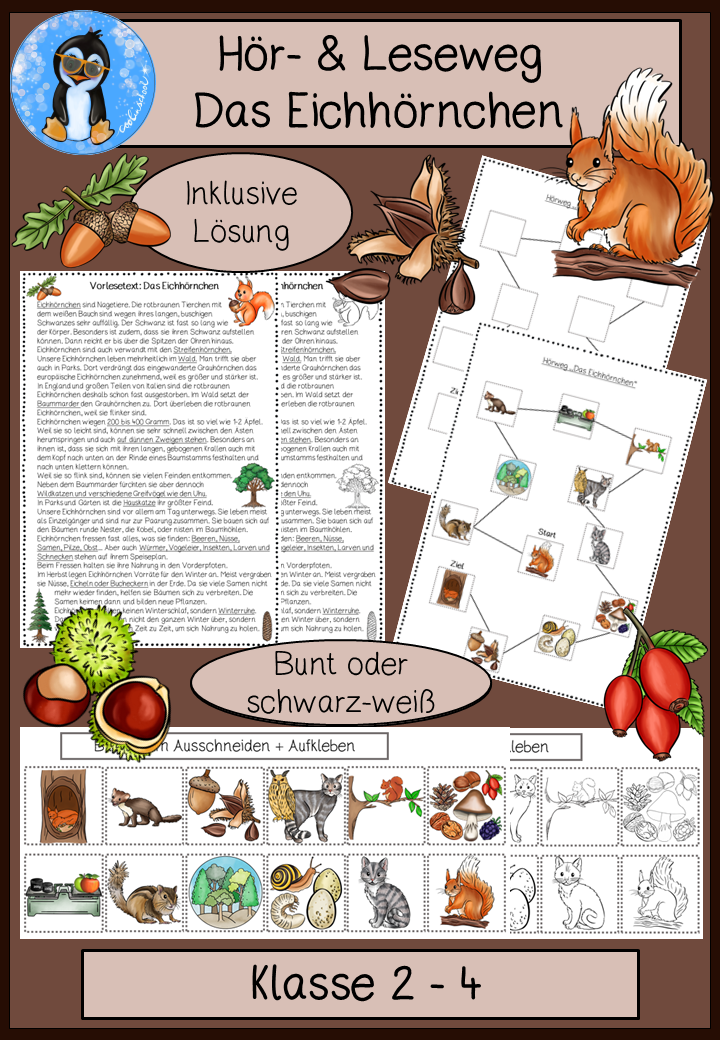 Eichhörnchen Hörweg AB Kl. 2-4 | Cover | Arbeitsblatt, Lesematerial | Deutsch Klasse 2/3/4